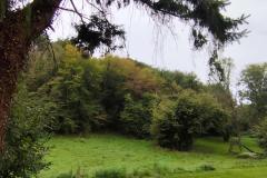 8aaa7b40-265f-47bf-815d-a1a563dffb13