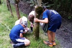 290271783_770039157468564_662232255988723891_n