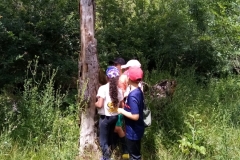 291141524_443991233924485_7153620161699111999_n