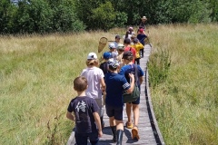 IMG_20220701_132852_1