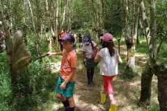 IMG_20220701_142841_1