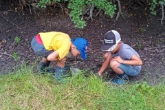 IMG_20220701_142943_1