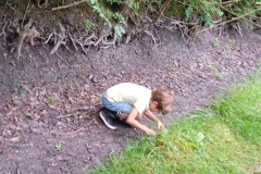 IMG_20220701_143000_1