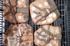 291679714_727496465131341_8026095381650816338_n