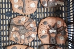 291694515_562819522014084_1187452816383093975_n