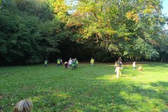 4993e3fa-7352-4a28-a35c-27ab72328738