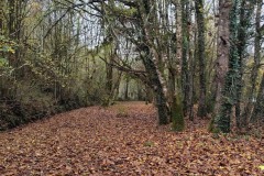 1f0c3cc6-24de-46f3-90e0-433c205c2847