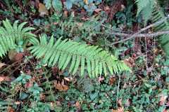 36783ca9-0307-4f74-a37f-fe5cef15ee92