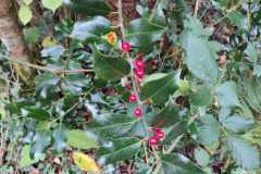 502873f9-aa00-4a24-95b8-2a18455ef8a4