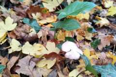 88cd5d10-c475-4813-99b0-a54cb6f0f9ea