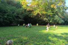 9c6faacc-bead-410f-96c4-b55d4393661d