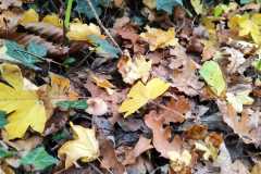 b8feda3e-6162-4467-aa5f-90374f4443be