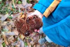 bf12da74-304c-437f-97d4-624be1b3b08e