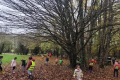 cfcdb691-f060-4086-99dc-2ed8a24b041e