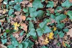 da04e52c-1cdd-4959-923f-3767334e4e78