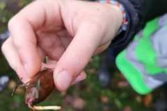 dcbfac17-0b70-4bf7-8351-cc1fa44b38a5