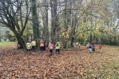 f882d42b-a4ff-4ce5-bbb7-9770b2fe7fa1