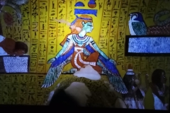 286033617_988141248540120_2305027789928990366_n