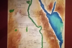 286135194_1001175520760529_1703180618149105875_n