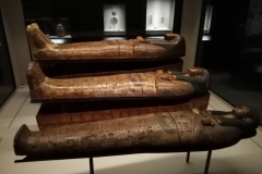 286555617_409536094393040_1505190155239145727_n