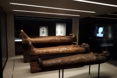 286807905_1478946312566411_1315103472522072385_n