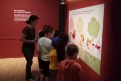 287015536_1392610604576953_468931937634642292_n