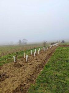 Les élèves s’engagent pour la plantation de haies bocagères